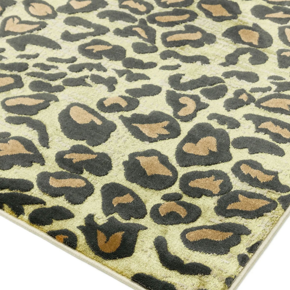 QUANTUM LEOPARD RUG